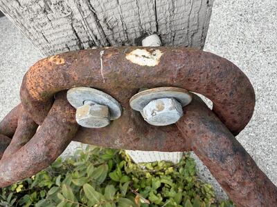 A close-up photo of a heavily rusted thick steel chain, its end link bolted to a weathered grey wooden post with two galvanized hex nuts and washers. Green leafy ground cover grows below.