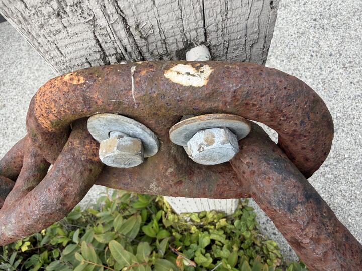 A close-up photo of a heavily rusted thick steel chain, its end link bolted to a weathered grey wooden post with two galvanized hex nuts and washers. Green leafy ground cover grows below.