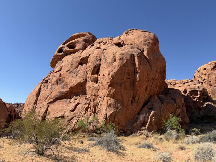 A massive dome of red sandstone rises against a clear blue sky, its surface pocked with weathered holes and hollows. Scrubby desert brush and dry golden grass grow at its base in the foreground.