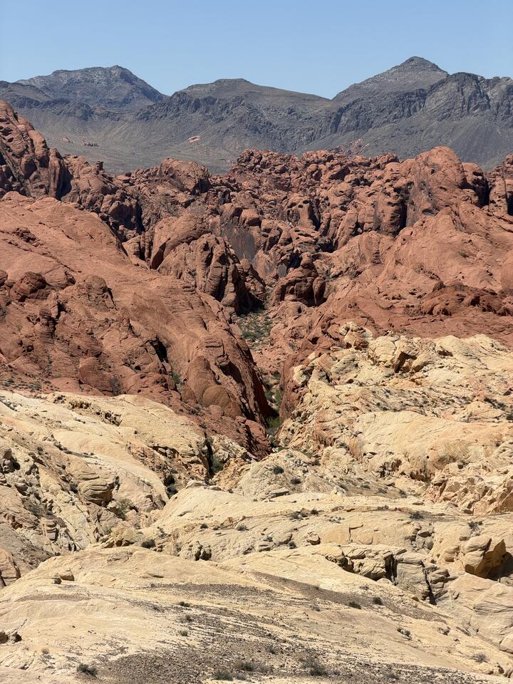 A desert canyon view looking out over pale cream-colored sandstone in the foreground that gives way to a band of deep red rock formations in the middle distance. Gray-blue mountains rise along the horizon under a clear sky.