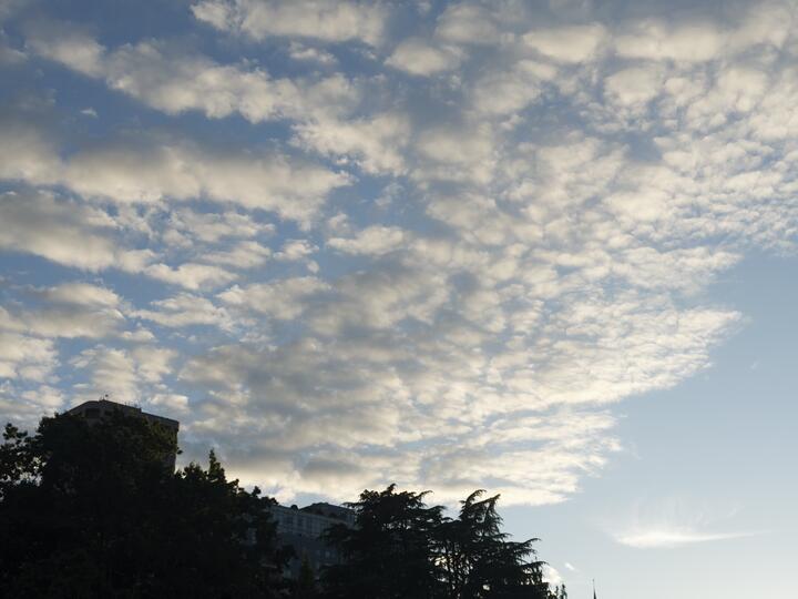 A wide "mackerel sky" of rippled, dappled altocumulus clouds fading from white into blue. Along the bottom edge, the silhouettes of evergreen treetops and a boxy building stand in shadow.
