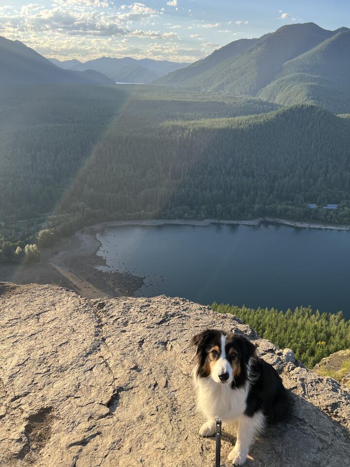 Ki lies on a granite outcrop high above a lake, looking at the camera. Forested mountain slopes and a reservoir with an exposed shoreline stretch out below, with a lens-flare ray crossing the sunlit sky.